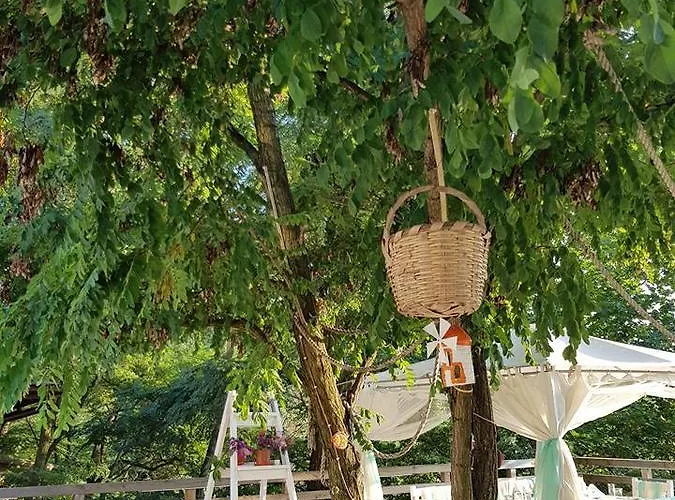 Mountain View Complex Resort